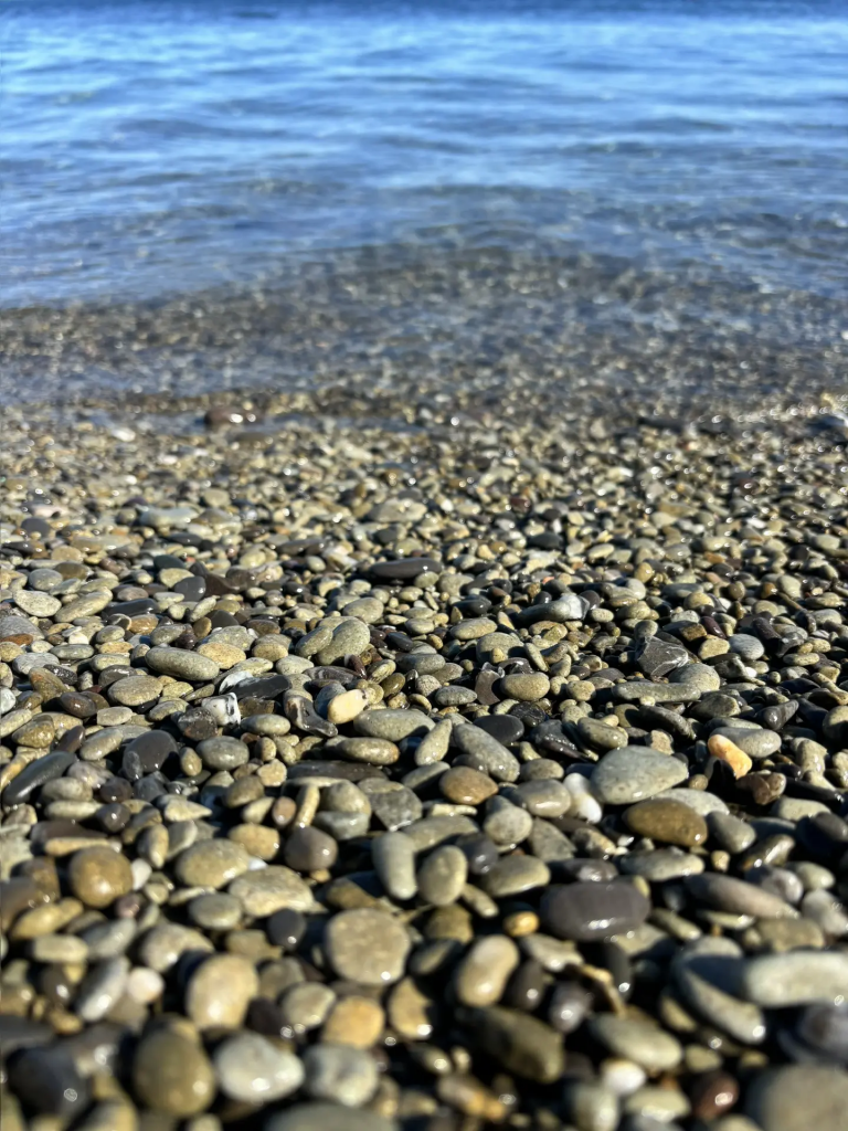 IMG_20260429_130720.png